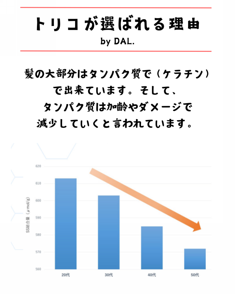 髪質改善解体新書