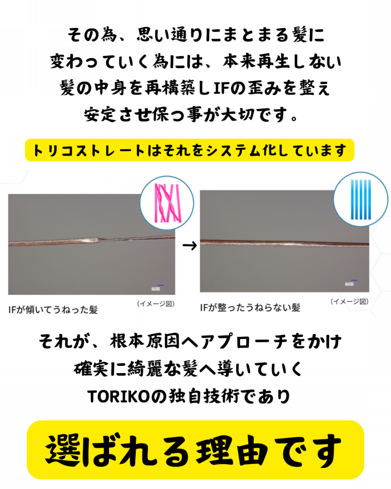 髪質改善解体新書