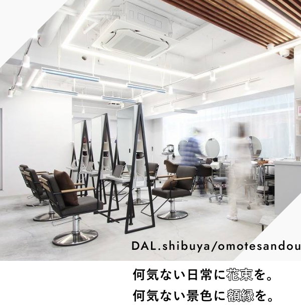 DAL.渋谷/表参道